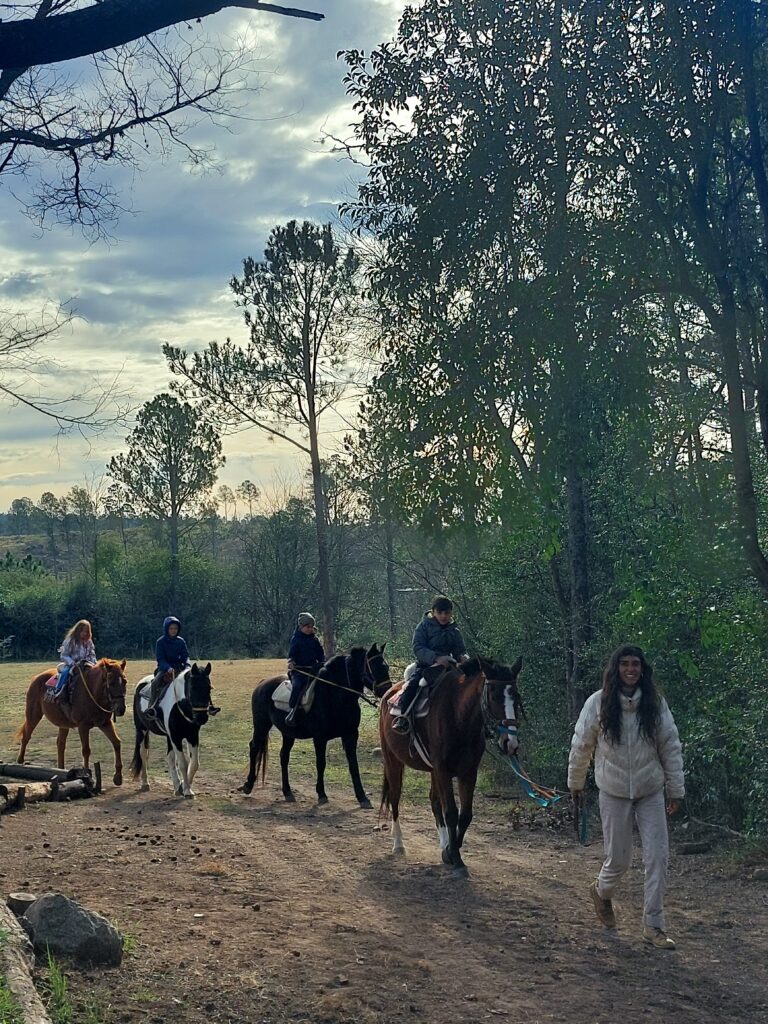 SANTA TERESA NATURAL GLAMP