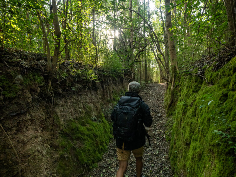 SANTA TERESA NATURAL GLAMP