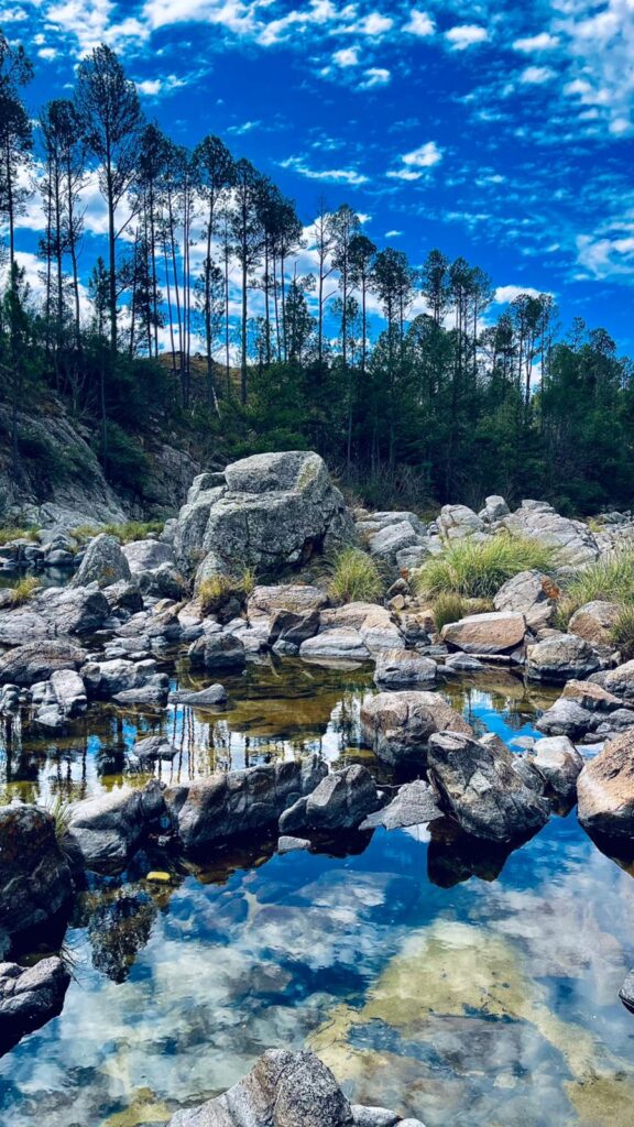 SANTA TERESA NATURAL GLAMP