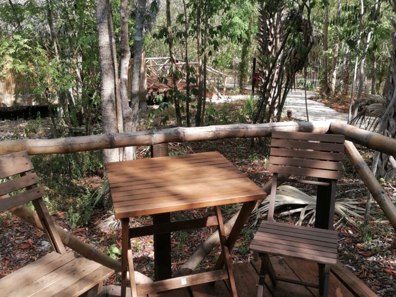 Hotel Selva Teenek