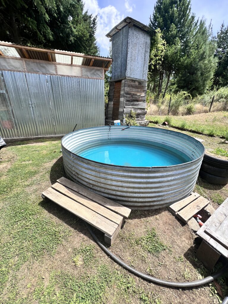 Los Felices Golondrinas