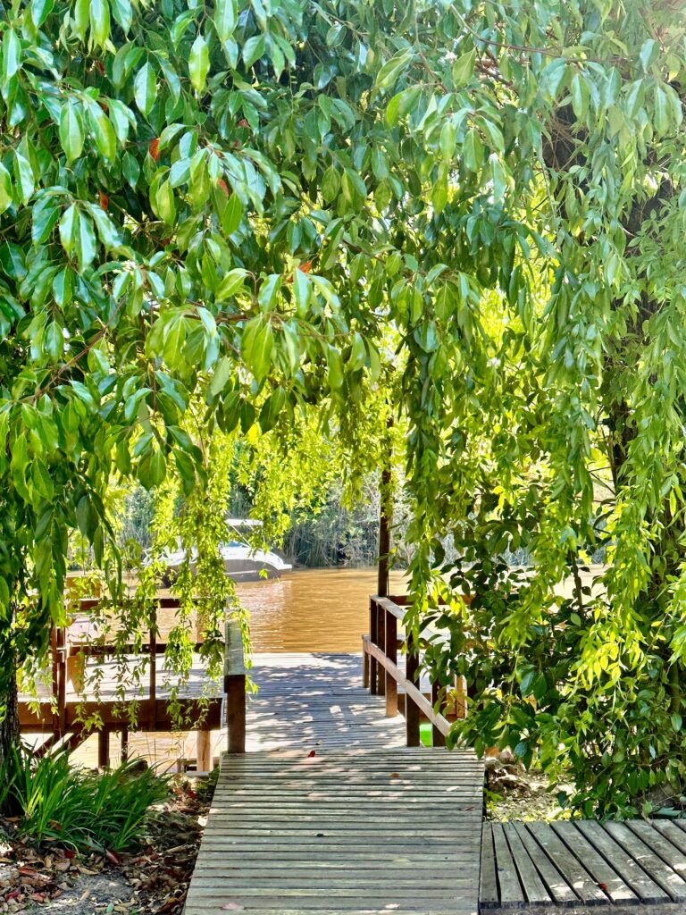 Eco Cabaña Rio