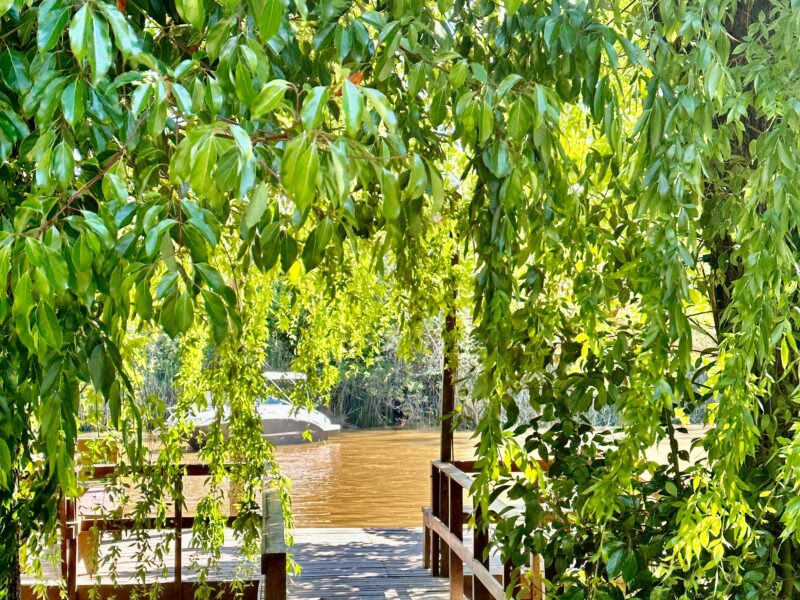 Eco Cabaña Rio