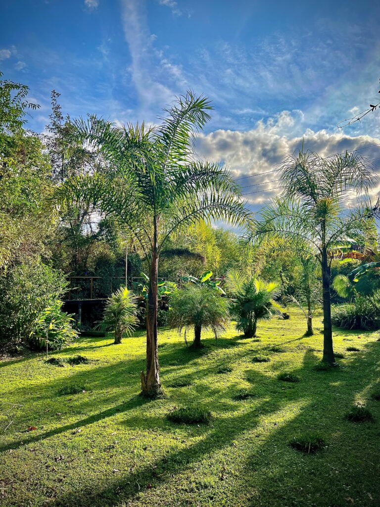 Eco Cabaña Rio