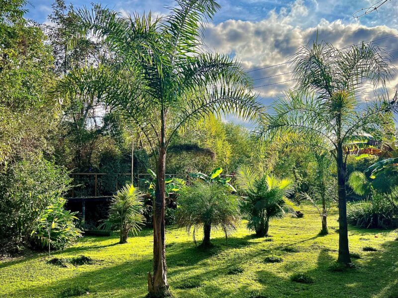Eco Cabaña Rio