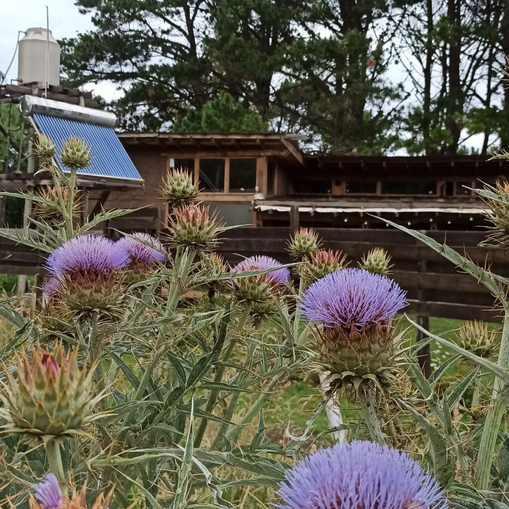 Jardin de Epicuro