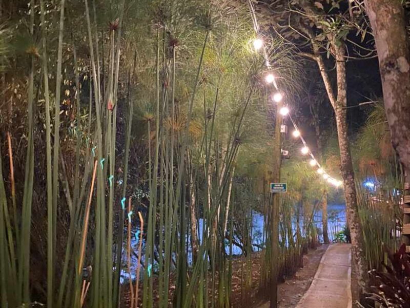 GLAMPING MONTE SKY