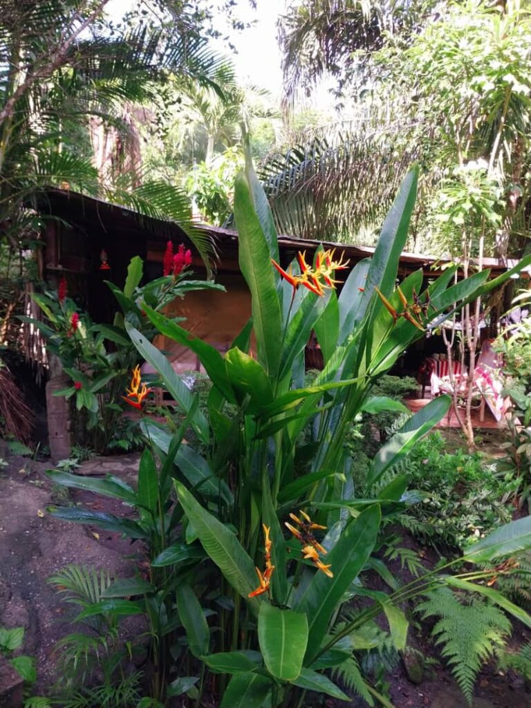 Glamping La Fuente