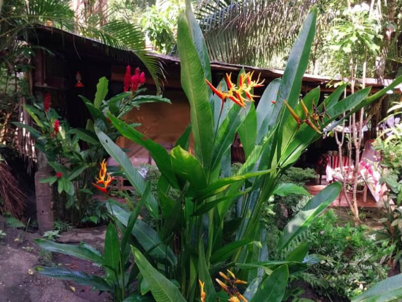 Glamping La Fuente